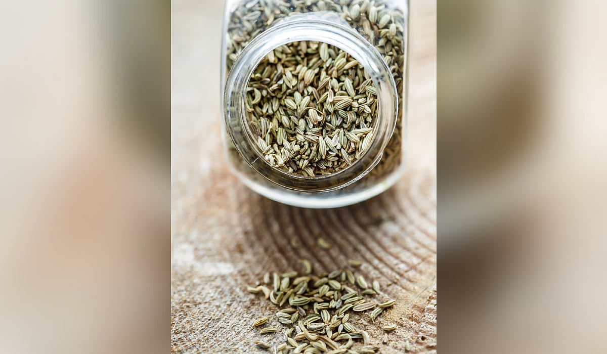 Fennel’s aromatic marvel elevates global cuisines and thrives in Northern India