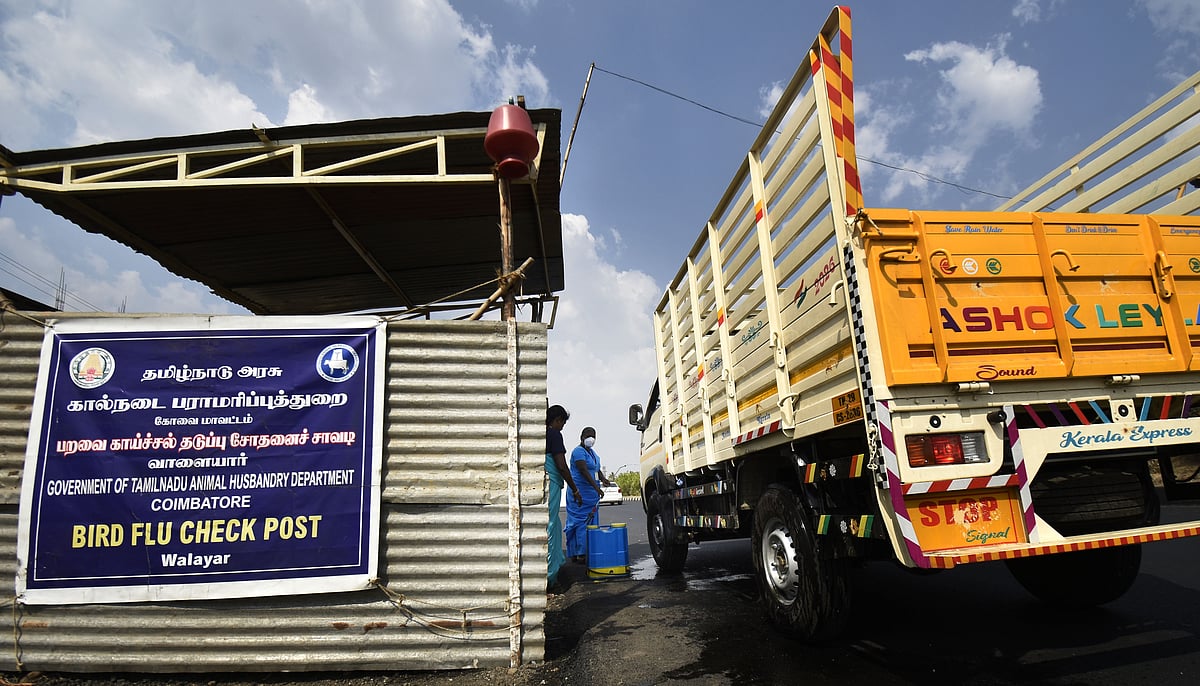 Bird flu outbreak Checking intensified in Tamil NaduKerala borders