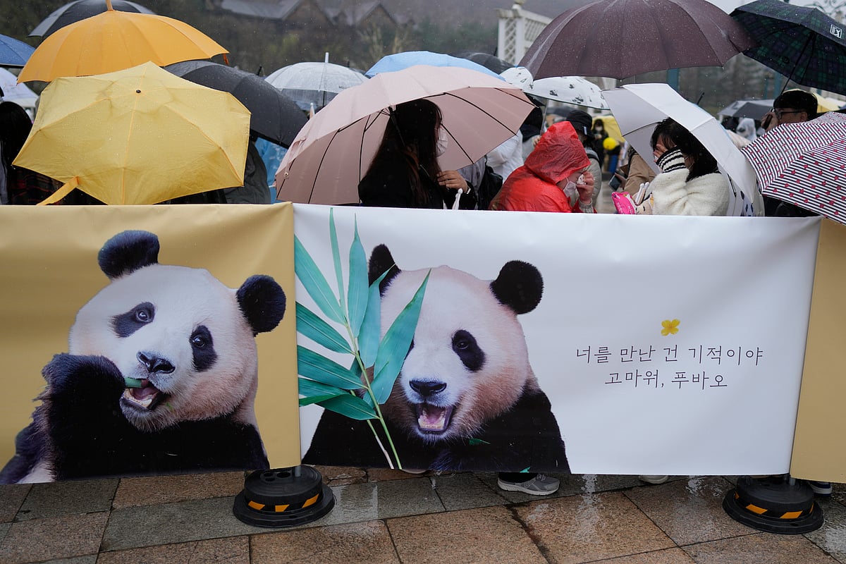 South Koreans bid emotional farewell to beloved panda leaving for China