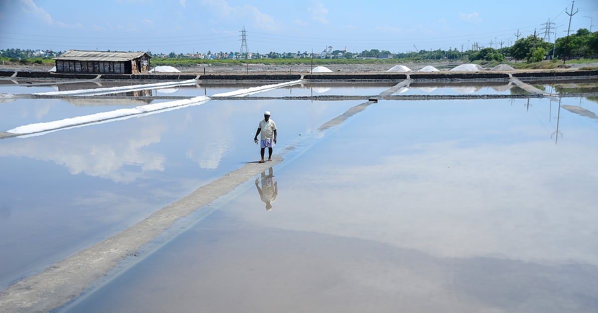 Unseasonal rain rubs salt in the wounds of salt pan workers, owners in ...