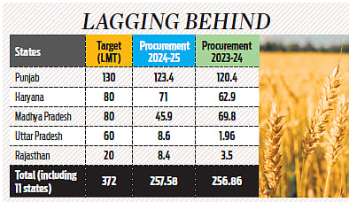 Wheat procurement likely to miss target for 3rd year ...