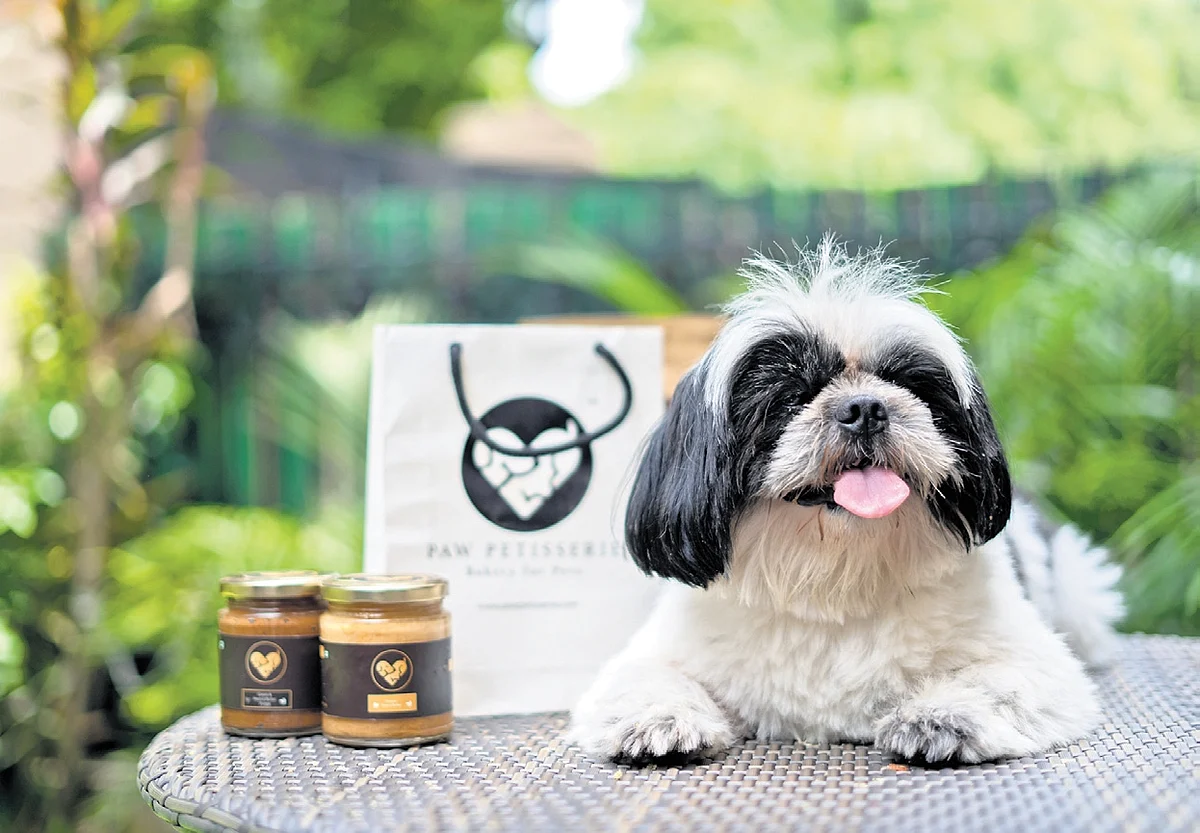India's gourmet pet food market booms as owners splurge on exotic treats