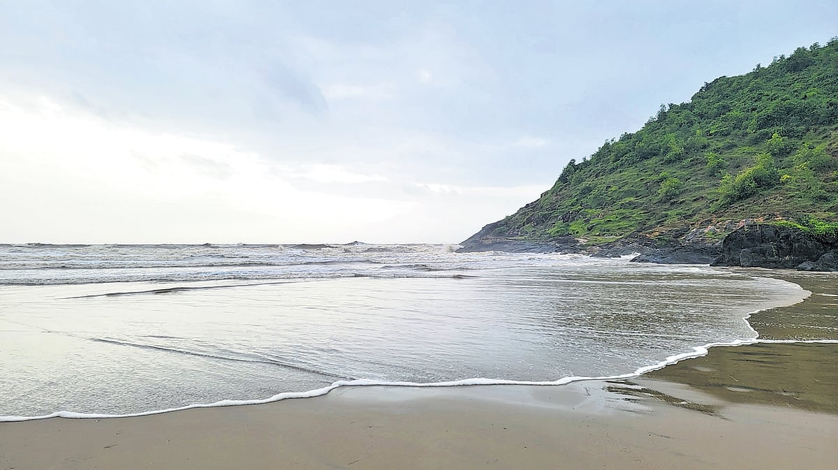 Where conservation meets culinary delight at PCF