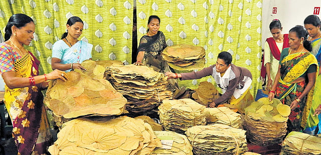 Vistarakulu tradition empowers tribal women in Andhra's Alluri ...