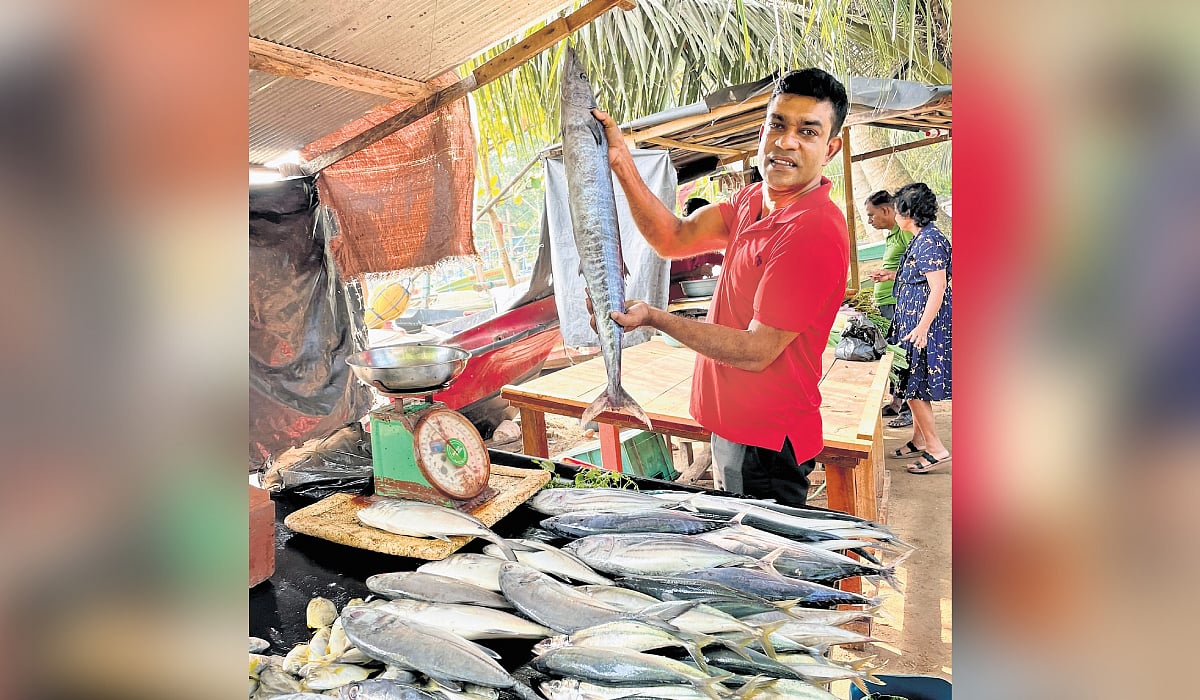 Market on the sands Market on the sands