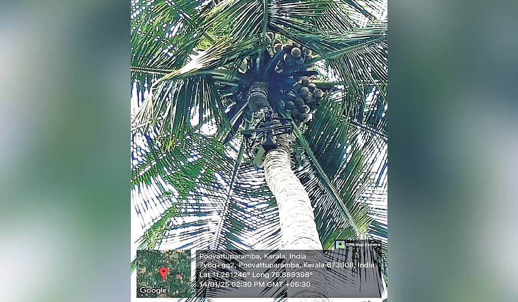 Kozhikode youths develop AI-powered coconut harvester Coco-bot; set to ...