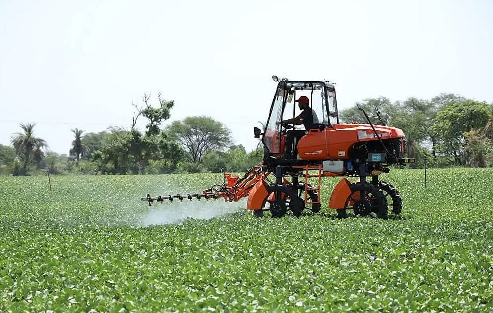 Saffron sizzles, broccoli beckons: New-age farming