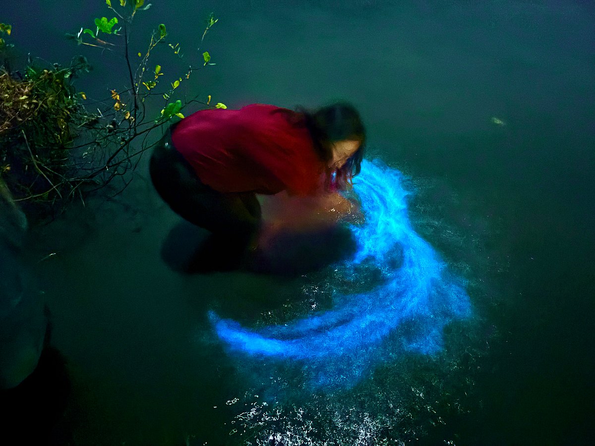 It’s shakalaka blue bloom @ ‘Kumbalangi Nights’