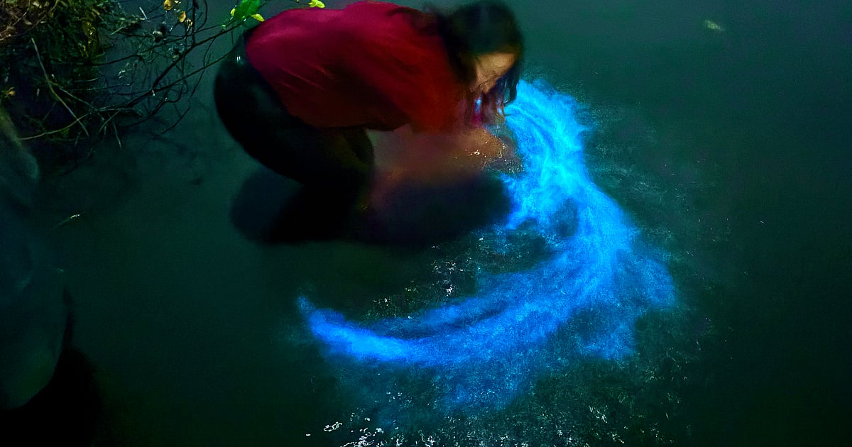 It’s shakalaka blue bloom @ ‘Kumbalangi Nights’