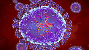 Kerala Health Minister: No Immediate Threat from China Outbreak