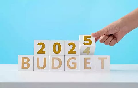 Budget 2025: IT Relief Expectations for Salaried Taxpayers