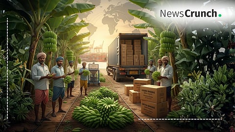 Banana Exports Soar: Andhra Farmers Find Success in Gulf & Russia
