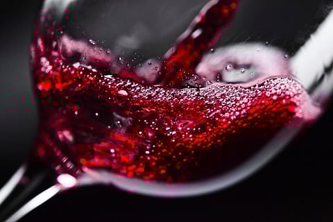 Wine investments. (IANS)