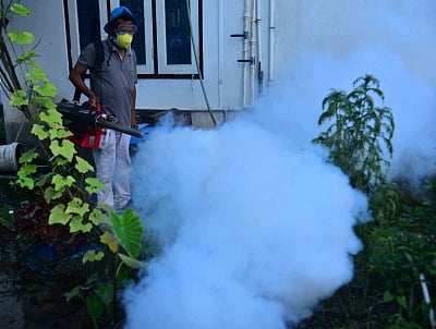 People have died after being infected by the vector-borne disease. (IANS)