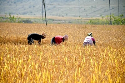 100 farmers to undergo training in Israel.