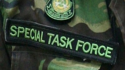 live pangolin: The Special Task Force (STF) of Odisha Crime Branch Friday seized a live pangolin from the possession of a wildlife criminal during a raid in the Pallahara area of Angul district.[IANS]