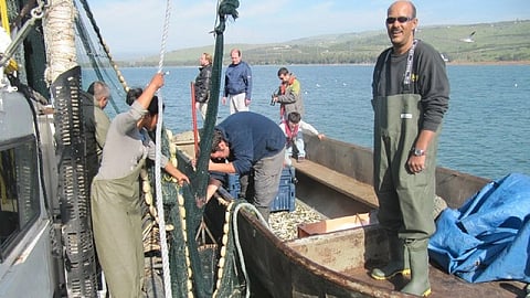 Revisiting Israel's Freshwater Fish :- A new study led by Dr. Roni Tadmor-Levi in the group of Prof. Lior David and a team of researchers from the Hebrew University of Jerusalem and Tel Aviv University, has shed new light on Israel's freshwater fish biodiversity.[Wikimedia Commons]