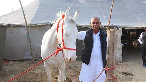Farmers in Rajasthan:- Farmers of Hanumangarh and Sriganganagar districts of Rajasthan are earning lakhs of rupees every year through horse rearing.[101Reporters]