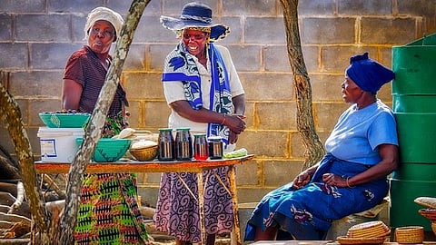 CABI-led study:- The role of African women and young people engaged in agricultural service provision has been investigated in a new CABI-led study published in the CABI Agriculture and Bioscience journal.[Pixabay]