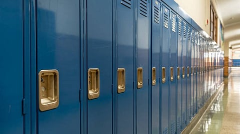 Strength and Style: Steel shelves have emerged as the top of modern design and sturdiness in each residential and business space.[Pixabay]