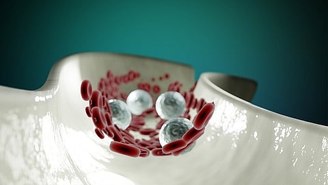 Blood stem cell:- UCLA scientists have identified a protein that plays a critical role in regulating human blood stem cell self-renewal by helping them sense and interpret signals from their environment. [Pixabay]