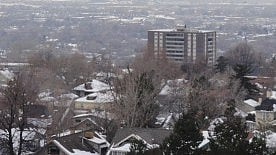 Ozone Pollution: Prenatal exposure to ozone pollution could be harming the cognitive development of unborn children [Newswise]