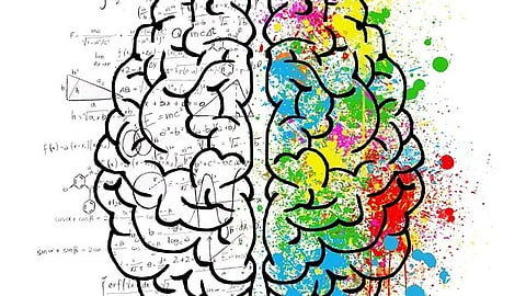 Brain Structure: When studying substance use disorders, scientists had thought some of the effects on the brain could stem from use of the substances themselves [Pixabay]