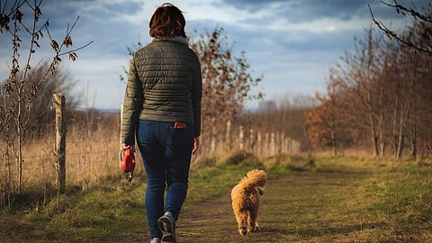 It can be heartbreaking when your pet starts to lose mobility and struggles to walk. [Pixabay]
