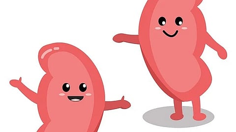 Kidney disorder indicator: Annual health checkups regularly include urine tests that serve several purposes [Pixabay]