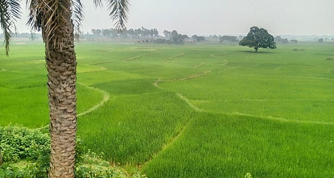 NITI Aayog's help: Standing next to a pond in his village Govindatand in Jharkhand’s Giridih district, Dego Mahto (72) describes the vital role this water body plays in the lives of the residents. [101Reporters]