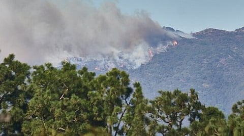 Wildfire Hazards: Fires sweeping through Los Angeles have left a massive path of destruction. [Newswise]