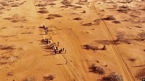 ‘Excess Deaths’: A study finds that severe drought plaguing parts of Somalia since 2022 has killed at least 71,000 people beyond the number expected. [VOA]