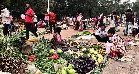 Bundelkhand's marginal farmers: In the semi-arid Bundelkhand region spread across Uttar Pradesh and Madhya Pradesh, climate vulnerability is a pressing reality. [101Reporters]