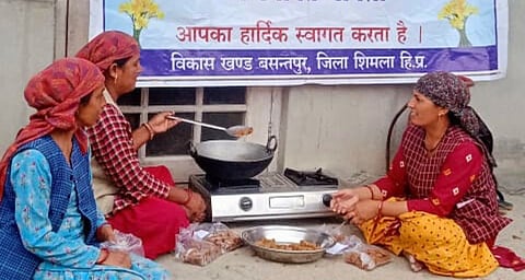 Himachal's natural farming: Raman Sharma (35) and his father Hemraj Sharma (63) from Moolberi village in Shimla [101Reporters]