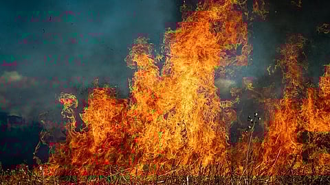 Air Quality After Wildfires: Schools and families are seeking reliable advice on how to protect kids from the poor air quality resulting from the wildfires that devastated swathes of Los Angeles. [Pixabay]