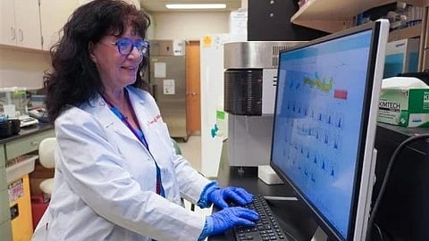 Form of Vitamin E: A new study in mice by researchers at the Indiana University School of Medicine suggests that alpha-tocopherol [Newswise]