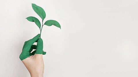 Modern building methods have fundamentally changed the construction industry in recent years as sustainability takes the front stage. [NewsGram]