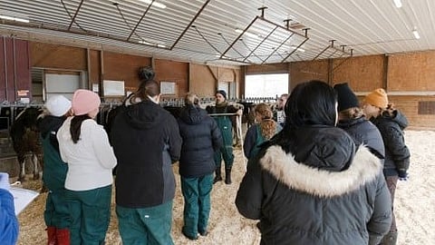 Dairy Cows Talks: In March 2024, for the first time in the United States, the highly pathogenic avian influenza [Newswise]