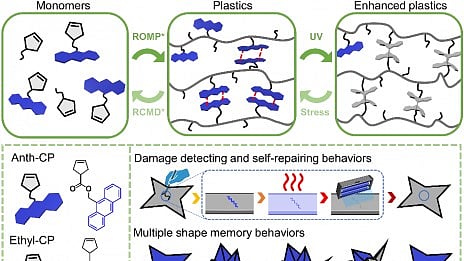 Sustainable Smart Polymer: Plastics, which are polymeric materials composed of long chains of small molecules called monomers [Newswise]