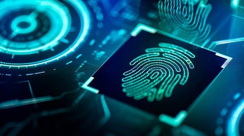 Security veins: Hyperspectral imaging is a technology that detects slight differences in color to pinpoint the characteristics and conditions of an object. [Pixabay]