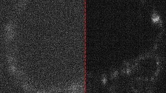 Quantum-Inspired: Researchers at the University of Adelaide have performed the first imaging of embryos using cameras designed for quantum measurements.[Newswise]