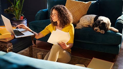 Running a pet sitting service is a journey filled with passion, responsibility, and a commitment to providing the highest quality care for pets. [Pixabay]