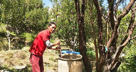 Sustainable agriculture: Across the country, governments have been pushing for more sustainable farming practices[101Reporters]