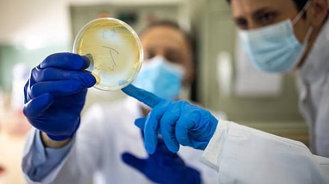 Antimicrobial resistance: The spread of antibiotic-resistant superbugs is plunging health care worldwide into a crisis. [Pixabay]