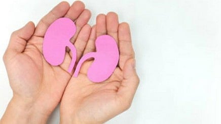 The Gift That Keeps Giving: Sarah scrolled through her phone, a heartwarming post about a young boy receiving a life-saving kidney transplant caught her eye. [Newswise]