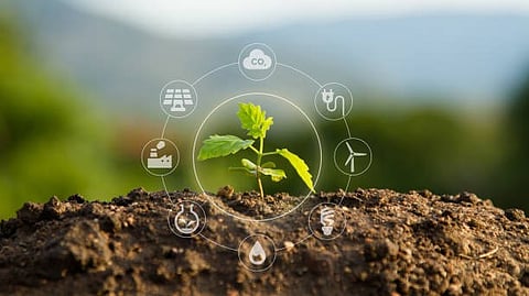 Sustainable Energy Solutions: In an era where sustainable energy solutions are more critical than ever, a team of researchers from East China University [Pixabay]