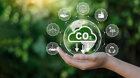Greener Future: As the global push for carbon neutrality gains momentum, a novel study from East China University of Science and Technology [Pixabay]