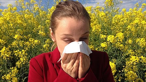 Navigate Allergies: If you find yourself wheezing and sneezing now that spring is here, you’re in good company. [Pixabay]