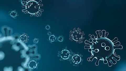 A Leap in viral research: Viruses pose a severe threat to global health, as evidenced by recent pandemics. [Pixabay]