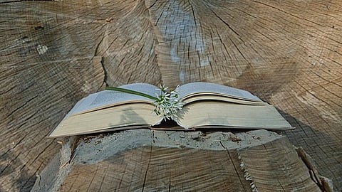 India has inherited vast and profound knowledge. [Pixabay]